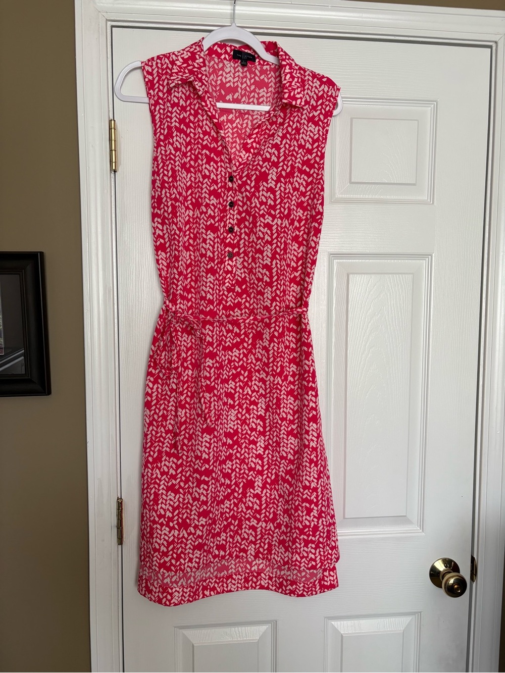 The Limited Sleeveless Pink Printed Shirt Dress